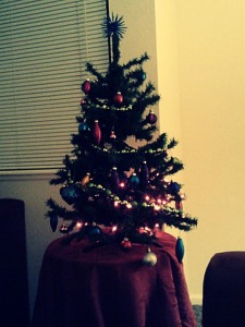 I just love Christmas trees!
